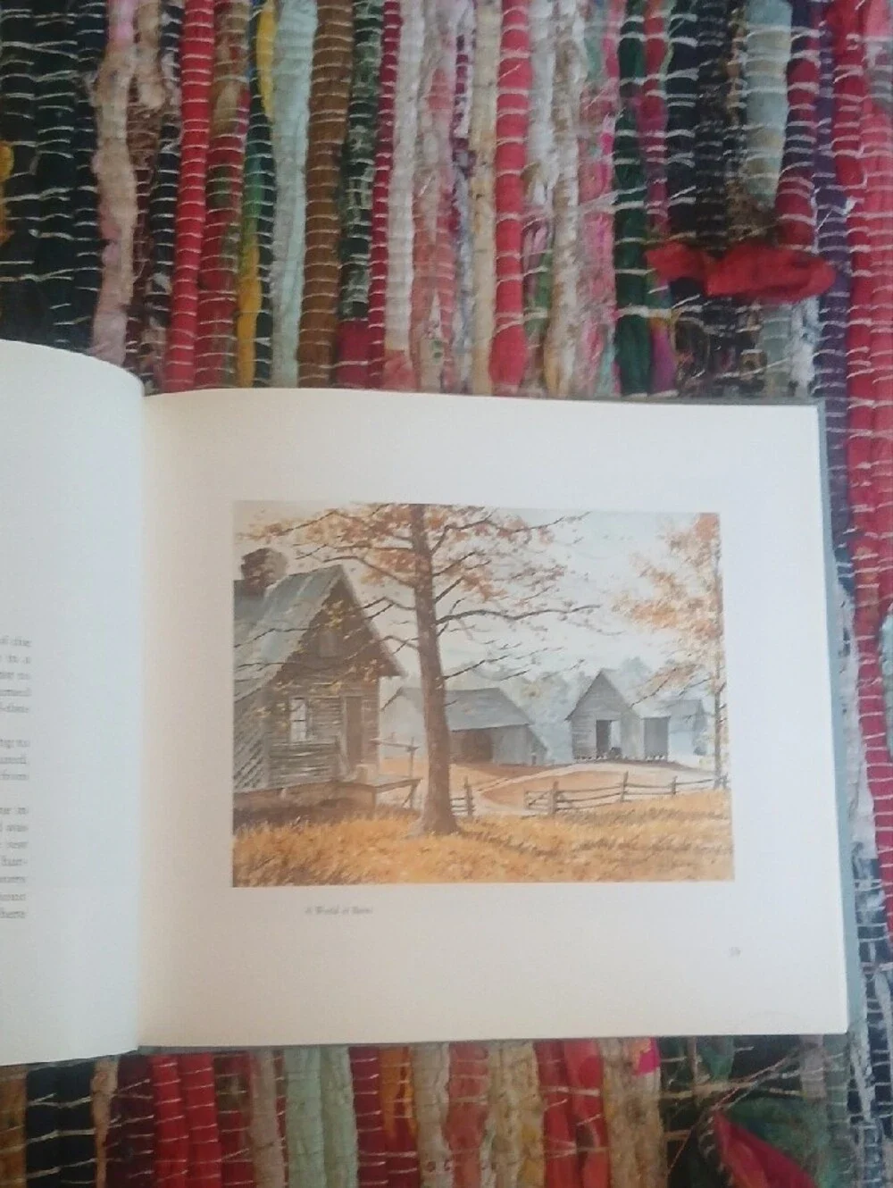 Seasons of Light In The Hills Paintings & Writing By John Kollock